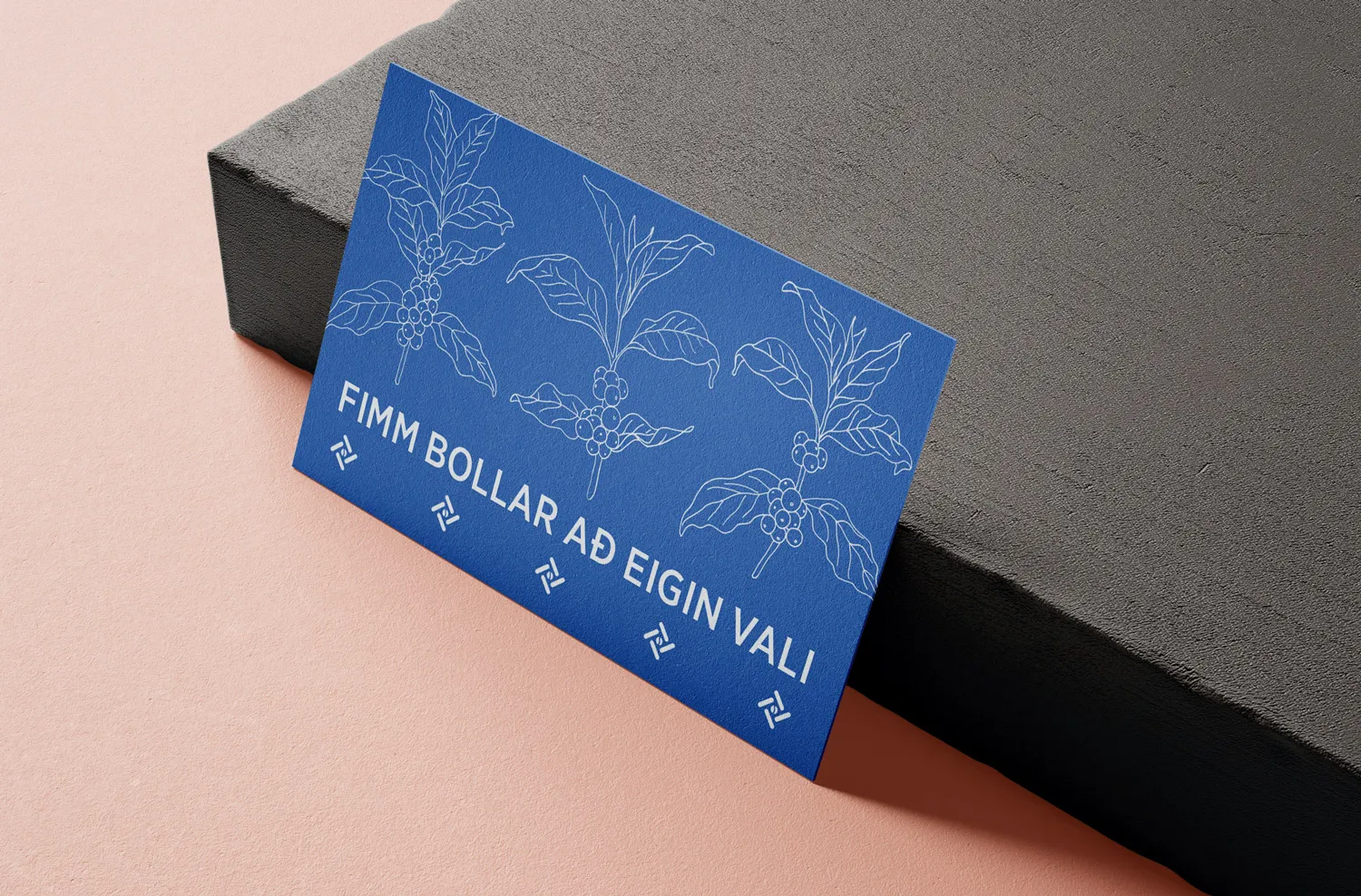 Gjafakort – Fimm bollar