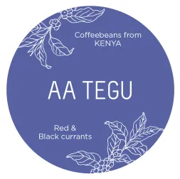 Tegu AA