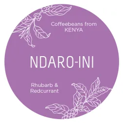 Ndaro-ini