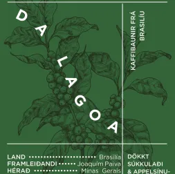Da Lagoa