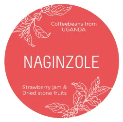 Naginzole